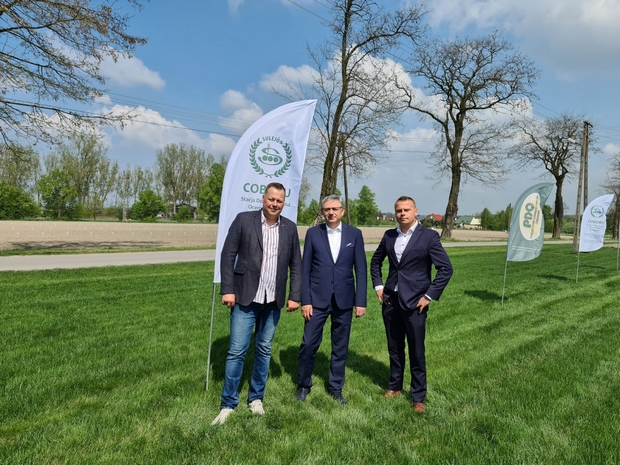 Dyrektor COBORU Zastępca dyrektora, Dyrektor SDOO w Sulejowie